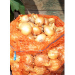 Kuchynská cibuľa 1kg 