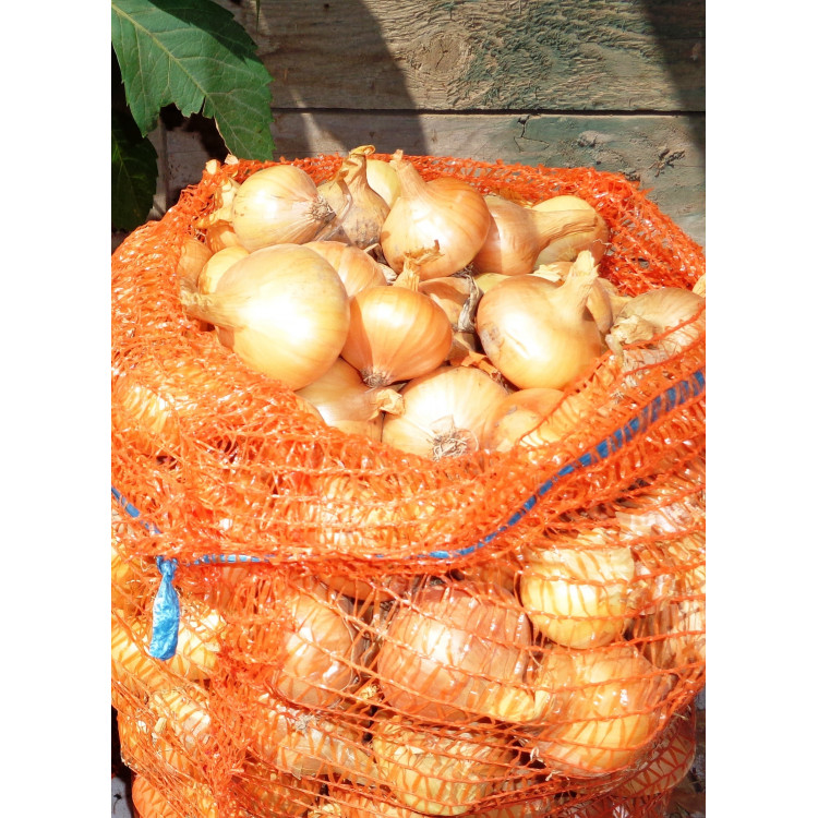 Kuchynská cibuľa 1kg 
