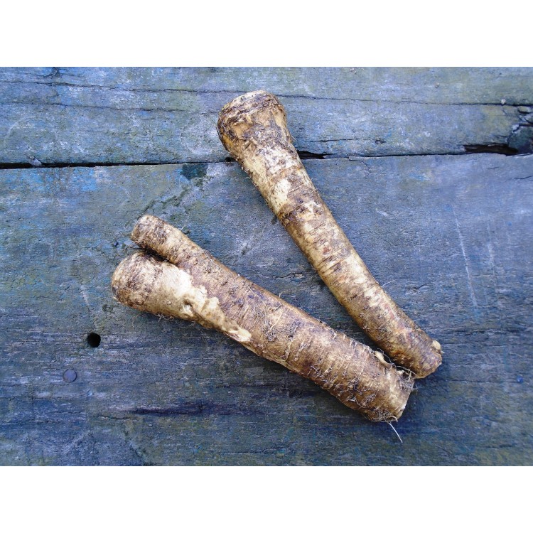 Chren záhradný 250g