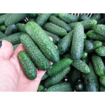 Uhorky 500g
